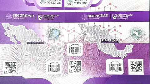 Ilustración sobre qué es REPUVE